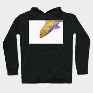 Golden yellow Ogon Koi carp fish Hoodie